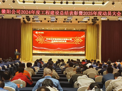 湖北徽陽召開2024年度工程建設(shè)總結(jié)表彰暨2025年度動員大會